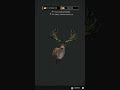 GREAT ONE RED DEER!!! Taking a GO with the 10g shotgun | Hypifed | theHunter : call of the wild