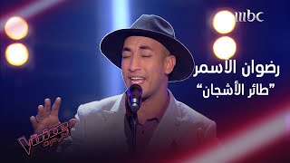 رضوان الأسمر يغني طائر الأشجان ويحلّق بصوته على مسرح #MBCTheVoice