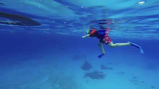 Snorkeling in Cozumel Mexico