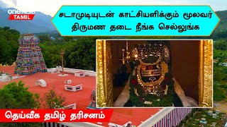 Siva sailam temple | திருக்கல்யாணத்திற்கு பிறகு மறுவீடு செல்லும் சிவன், அம்பாள்.. | Oneindia Tamil