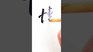 情分 #chinesecalligraphy #书法 #art #打字 #handwriting #毛筆字