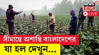 Bangladesh News Live | সীমান্তে ফের উসকানি বাংলাদেশের, কাঁটাতারের বাঁশ লাগাতে বাধা BGB-র