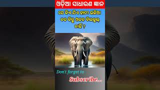 Odia Sadharana Gyan/ odia Dhaga Dhamali/ IAS questions/ Odia GK/ Odisha Education.