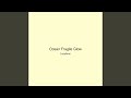 Ocean Fragile Glow