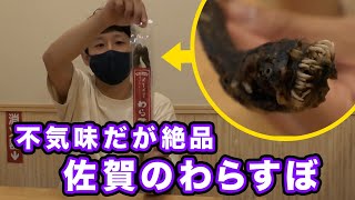 【最強の見た目】佐賀の珍味“わらすぼ”