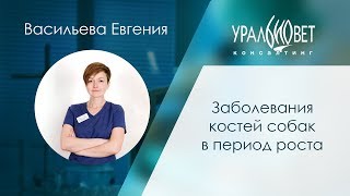 Заболевания костей собак в период роста. Евгения Васильева #убвк_ортопедия_травматология