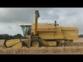 harvest 2024 dermot dorgan agri