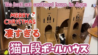 [超豪華]超絶凄い猫のダンボールハウス🎁 Castle cardboard house for Christmas gifts for cats🎁