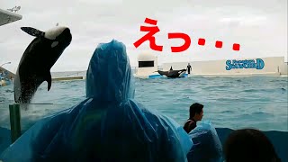 会場騒然、鴨川シャチのショーでのできごと