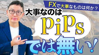 FXは金額 いくらpips稼いでも無意味！！