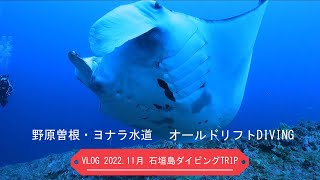 【VLOG】2022年11月　石垣島発　八重山諸島ダイビングTRIP  野原曽根・ヨナラ水道　ギンガメ・バラクーダ・マンタ狙いのオールドリフトDIVING　西表島　小浜島