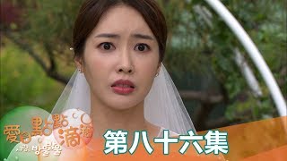 【愛是點點滴滴】EP86:她昏倒了....  - 東森戲劇40頻道 週一至週五 晚間8點