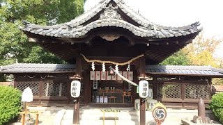 【きんぎょチャンネル】柳澤神社（大和郡山市城内町）