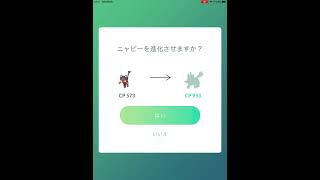 【ポケモンGO】ニャヒートに進化しました♪