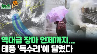 [뉴스쏙] 전국 곳곳 거센 장맛비…태풍 '독수리' 한반도 오나  / 연합뉴스TV (YonhapnewsTV)