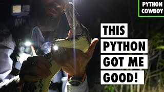 This Giant Python Was Not Going Out Without A Fight