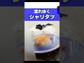 【くら寿司 ✕ ポケモンコラボ】シャリタツの寿司流れ shorts