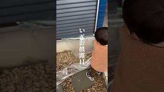 サビサビの雨戸を塗装してみたpart2 #diy #雨戸 #塗装