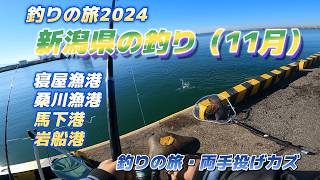 新潟県の釣り（１１月）・寝屋漁港、岩船港、馬下港、桑川漁港「キャンピングカー生活で日本全国釣りの旅」