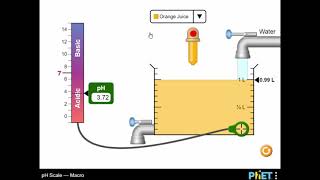 pH Scale - Macro