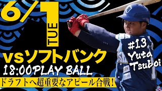 【ライブ】NPBへの挑戦！！　徳島インディゴソックスVS福岡ソフトバンクホークス(三軍) 2021.6.1