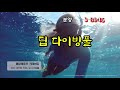 보니타가 시화mtv 거북섬 초대형 해양레저 복합스트리트몰