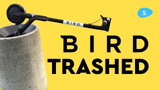 Bird: the end of electric scooters?