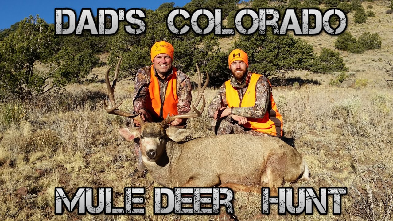 Colorado Rifle Hunt - 3rd Season Mule Deer - YouTube