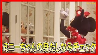 ºoº HKDL 身だしなみをチェックするミニーちゃん 香港ディズニーランド エンチャンテッドガーデン Minnie adjust grooming at Enchanted Garden