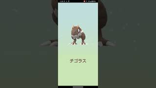 アーケンの色違い狙ってみた！#ポケモン #ポケモンgo #pokemon #pokemongo #shorts