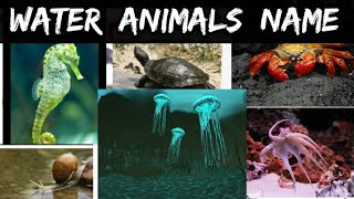 Water animals /ജലജീവികൾ