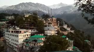 The Little Lhasa (Dharamsala,HP)