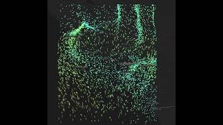 Wind particle animation using mapbox-exif-layer demo