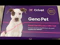 Orivet dog DNA test. Does it work ?