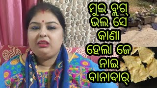 Vlog696 👉ମୁଇ ଭଲ ସେ ବ୍ଲଗ୍ ନାଇ ବାନାବାର👉 କାଣା ହେଇଛେ ମୋର୍ ସାଙ୍ଗେ 😳😳😳