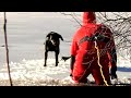 Firefighter Rescues Dog That Wandered Onto Icy Pond