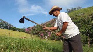 A VIDA NA ROÇA - PAMONHADA NO SEU MARIANO