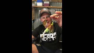 Rigging plastics as a spinnerbait trailer