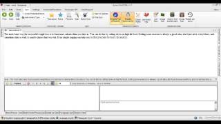 SpinnerChief 2 Basic Article Spinning 2