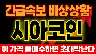 [시아코인]💥세력 목표가 공개💥결국  \