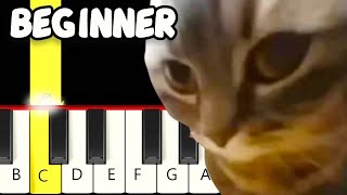 Chipi Chipi Chapa Chapa Dubi Dubi Daba Daba Meme - Fast and Slow (Easy) Piano Tu