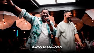 Julio Sereno, Netinho de Paula - Gato Manhoso (Clipe Oficial)