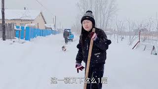 大雪连下三天，带大毛逛雪景去了！