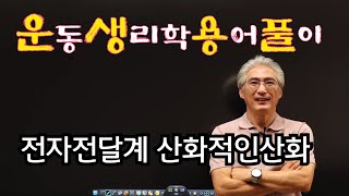 #25 [운생용풀]  운동생리학 용어풀이, 운동과 에너지대사, 산화적인산화, 전자전달계 (동신대 운동처방학과)