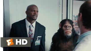 Scary Movie 5 (2013) - Apes and Real Housewives Scene (3/9) | Movieclips