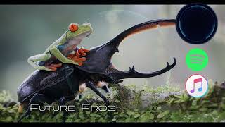 Future Frog - Electro/Dance - Royalty Free Music