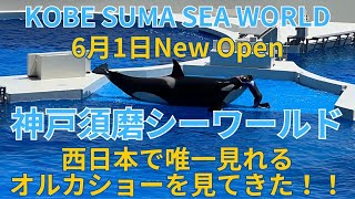 6月1日 New Open 神戸須磨シーワールド 西日本で唯一見れるオルカショーを見てきた！！ シャチ 水族館 神戸市須磨区 KOBE SUMA SEA WORLD Aquarium