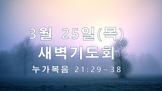 신내대광교회 새벽 예배 2021-03-25