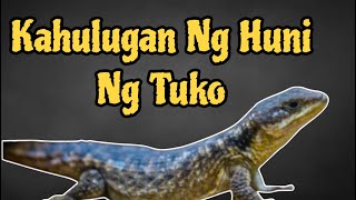 Kahulugan ng Huni ng Tuko Swerte ba o Malas?  #money #abundance #prosperity