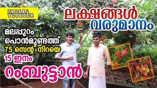 റംബൂട്ടാൻ കൃഷിയിൽ വിജയിച്ച ഷാജി well experienced farmer farm in his house